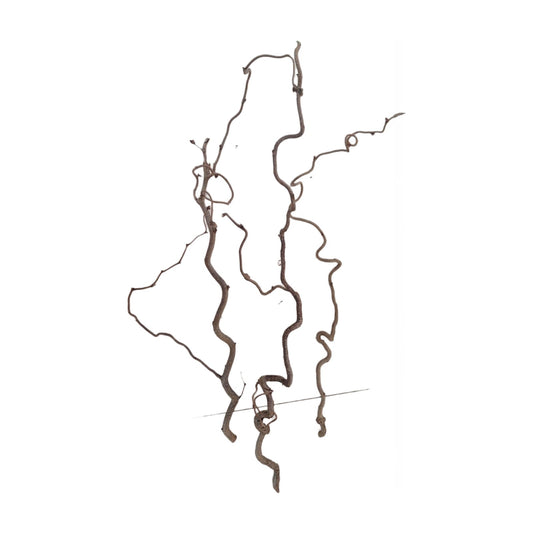 Lockenzweig 70-80 cm 3 stuck Set