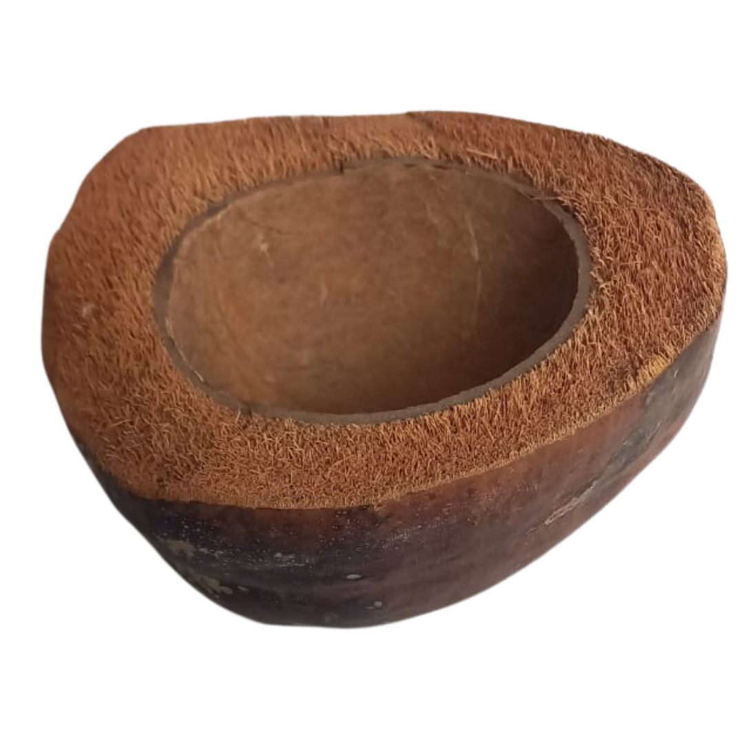 Kokosnussschale