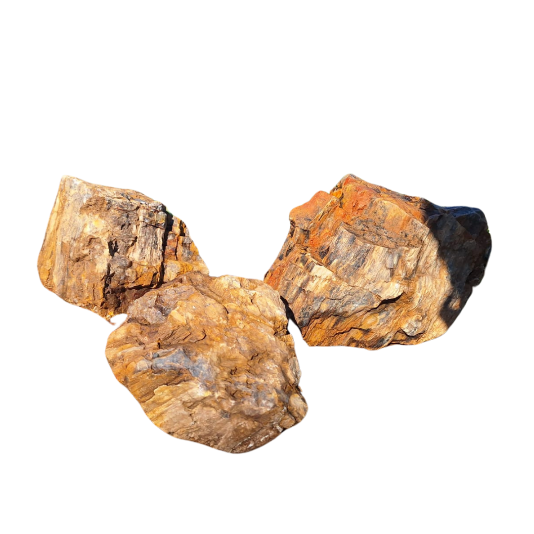 Versteend Hout Bond