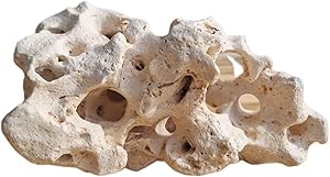 Lochgestein für Aquarium