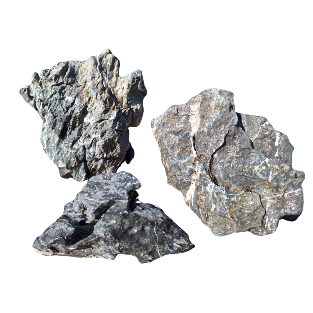 Roccia Seiryu Nera