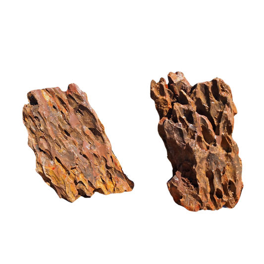 Roccia Dragon