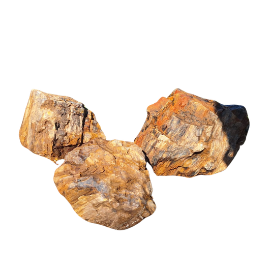 Roccia Fossil Stone