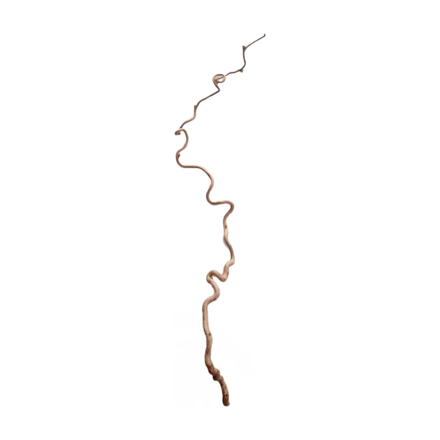 Lockenzweig 70-80 cm 3 stuck Set
